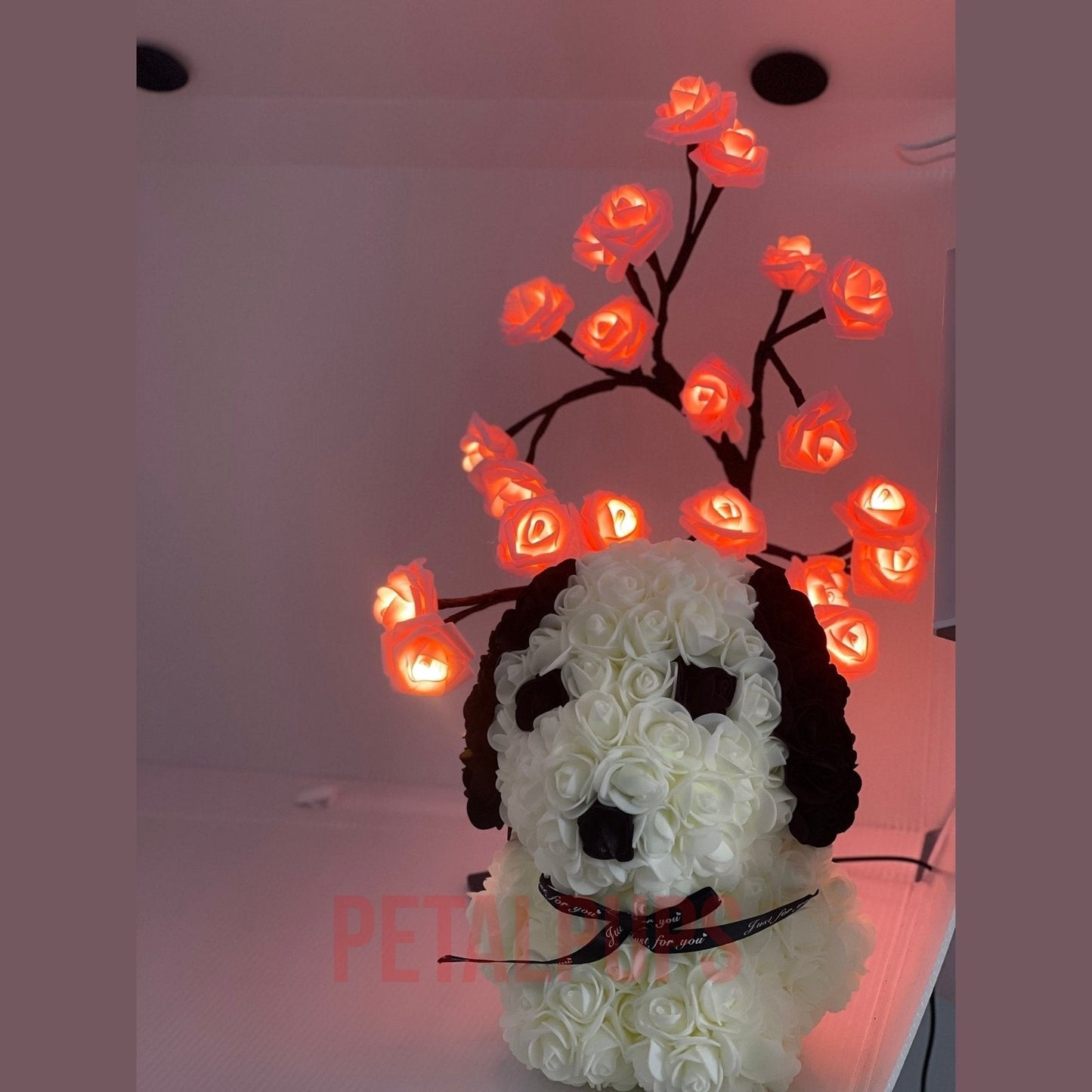 White Black Rose Teddy Dog