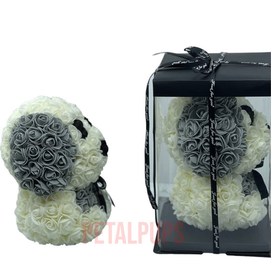 White Rose Teddy Dog