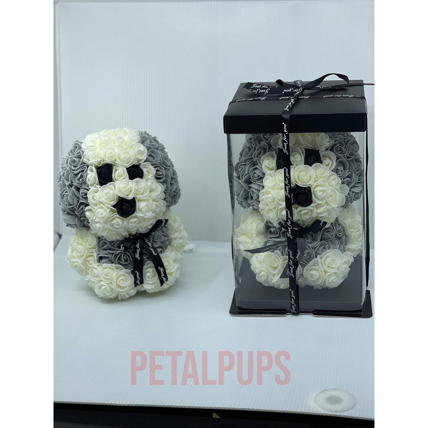 White Rose Teddy Dog