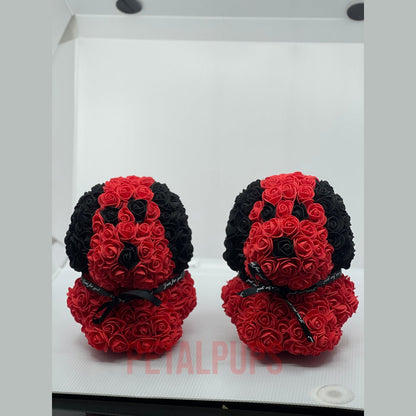 Red Rose Teddy Dog