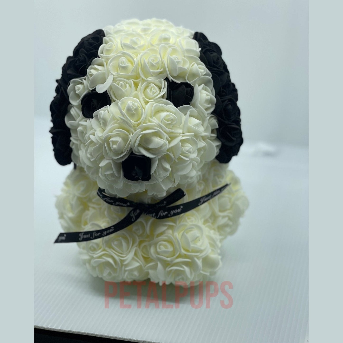 White Black Rose Teddy Dog