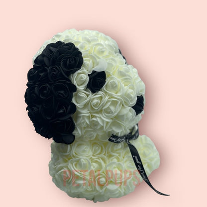 White Black Rose Teddy Dog